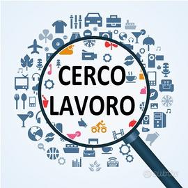 Disponibilità Immediata a Modena e Provincia