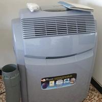 Condizionatore pinguino DeLonghi