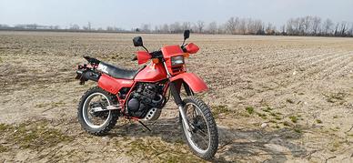 Honda xl 600 r 1983