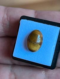 cabochon in occhio di tigre dalla forma ovale