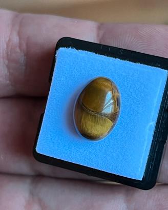 cabochon in occhio di tigre dalla forma ovale