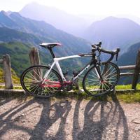 Bici da corsa in carbonio Lapierre Xelius Efi 