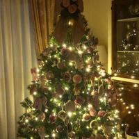 Albero di natale