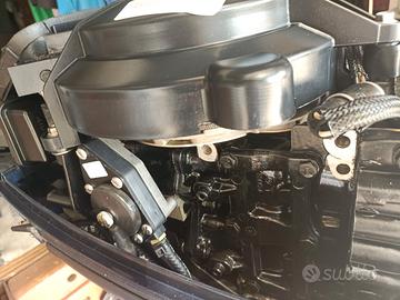 motore nautico evinrude 15 cavalli