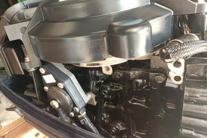 motore nautico evinrude 15 cavalli