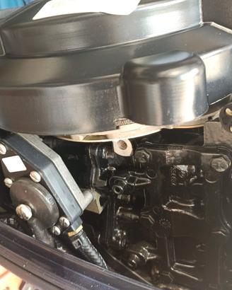 motore nautico evinrude 15 cavalli