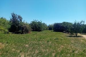 Terreno Residenziale Civita Castellana