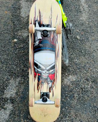 skateboard professionale 