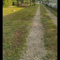 Terreno agricolo Orbassano