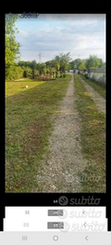Terreno agricolo Orbassano