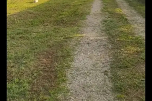Terreno agricolo Orbassano