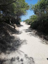 4/6 posti letto Mare sole spiaggia cultura Relax