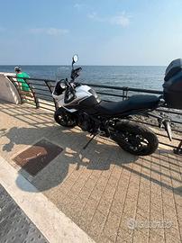 TRIUMPH TIGER SPORT 660 ANNO 2024