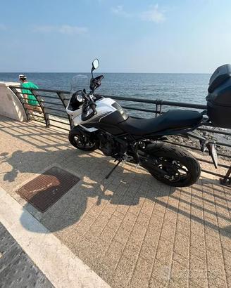 TRIUMPH TIGER SPORT 660 ANNO 2024