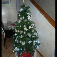 Albero di Natale 