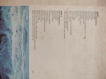 Dischi vinile 33 giri parte 5