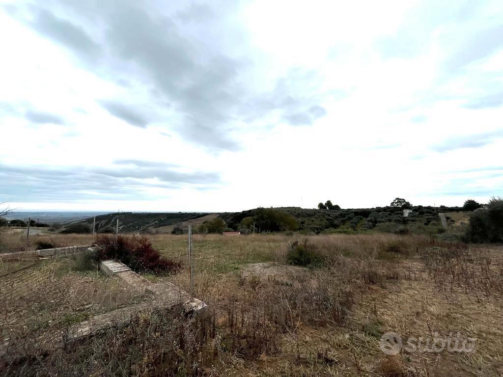 Lotto agricolo - Pisticci - Vista 2