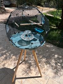 Gabbia per uccelli e pappagallini