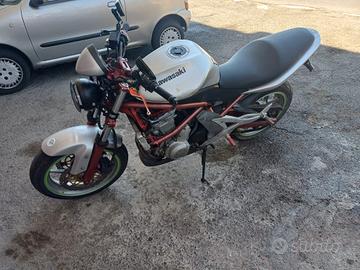 Kawasaki ER-6N