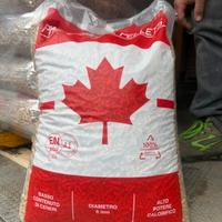 Pellet canadese 7.20 al sacco