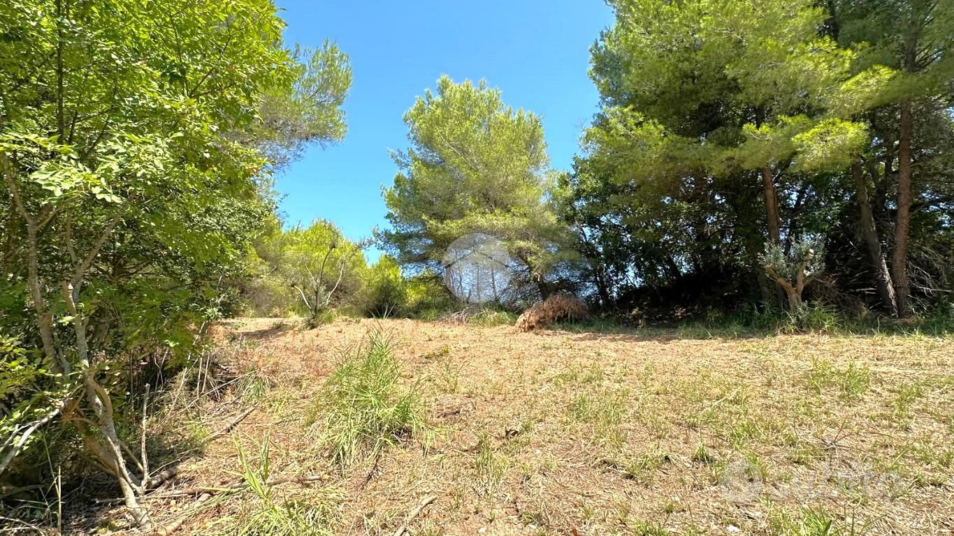 TER. AGRICOLO A GROTTAMMARE - Vista 4