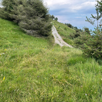 Terreno agricolo
