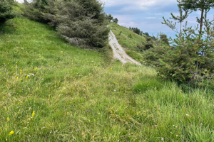 Terreno agricolo