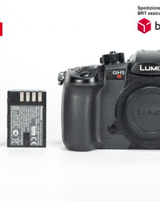 Panasonic Lumix G DC - GH5S
