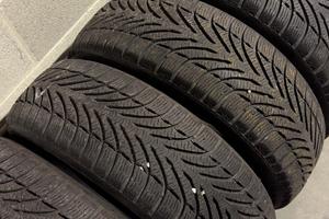 Pneumatici invernali Goodrich