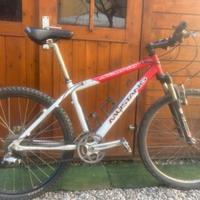 Mountain Bike Moustang