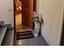 Immagine 16
