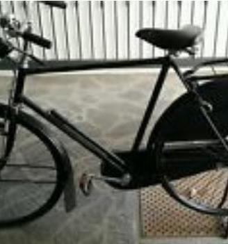 Bicicletta Pon