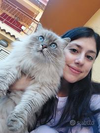 Baby sitter / Cat sitter / Ripetizioni