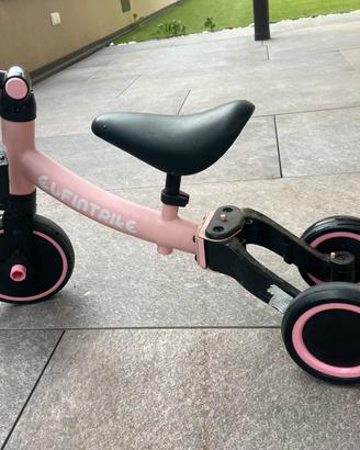 Triciclo evolutivo