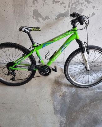 Bicicletta ragazzo Frera