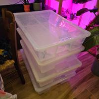 Scatole ikea samla 55L con ruotine