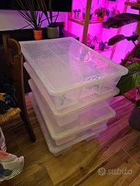 Scatole ikea samla 55L con ruotine