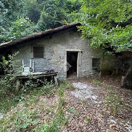 RUSTICO A ALBINO
