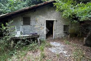 RUSTICO A ALBINO