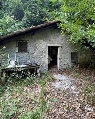 RUSTICO A ALBINO