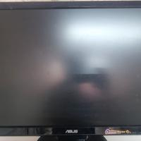 Monitor 24 pollici asus