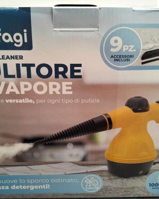 Pulitore a vapore