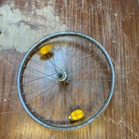 Ruota anteriore 20