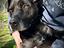 Immagine 4