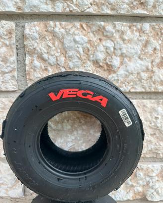 Gomme vega
