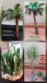 piante per presepi e diorami