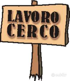 Spedizioni/ufficio/badante/trasporti