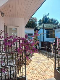 Bungalow