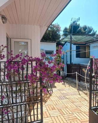Bungalow
