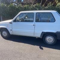 Fiat Panda Young